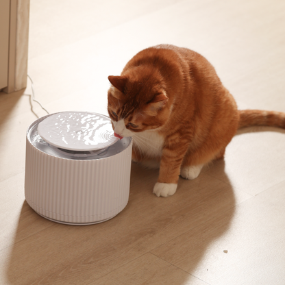 Automatic Clear Cat Water Fountain/2L